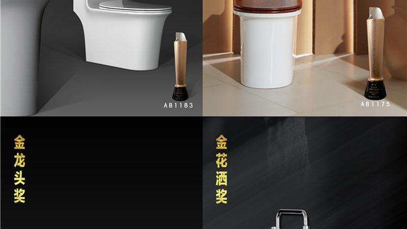 家用马桶冲水方式哪种好
